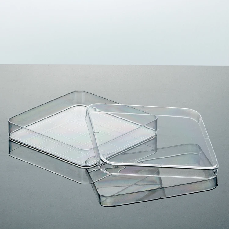 Lab Use Square Plastic Culture Dish Sterile Disposable Petri Dish