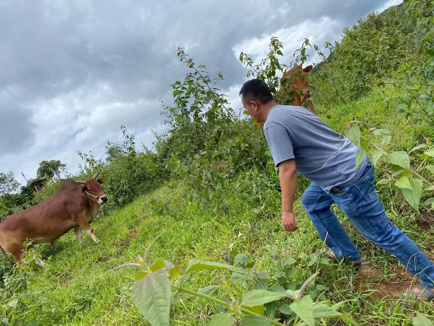 100% Robusta 250g Dark Roasted Coffee Beans From China 1kg/500g/250g coffee bag
