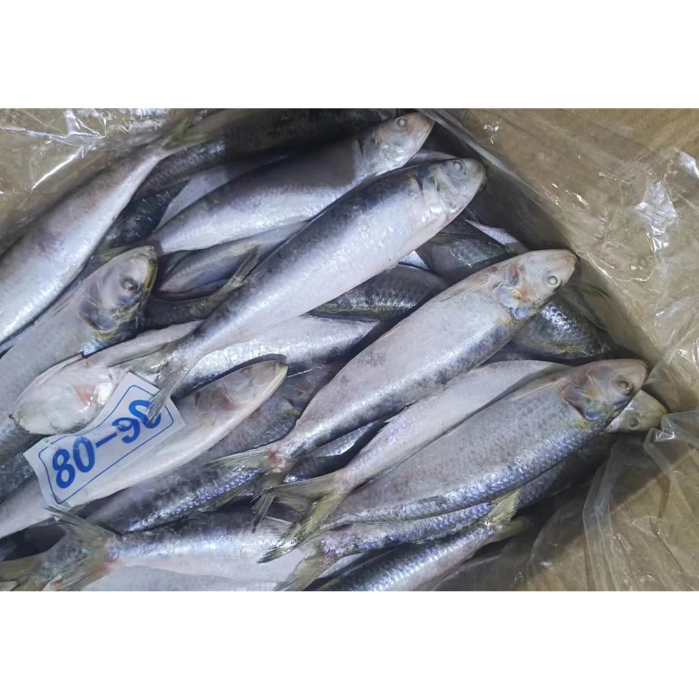 hot sale manufacturer price whole round frozen sardine fish whole round sardine fish for market sardine whole round frozen fish