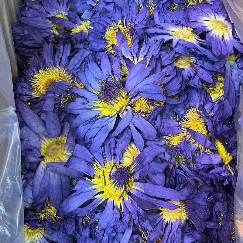 Organic Blue Lotus Egyptian Big Size Whole Flowers Europe Standard Nymphaea Caerulea Handmade Flower Tea Individual Sachet Pack