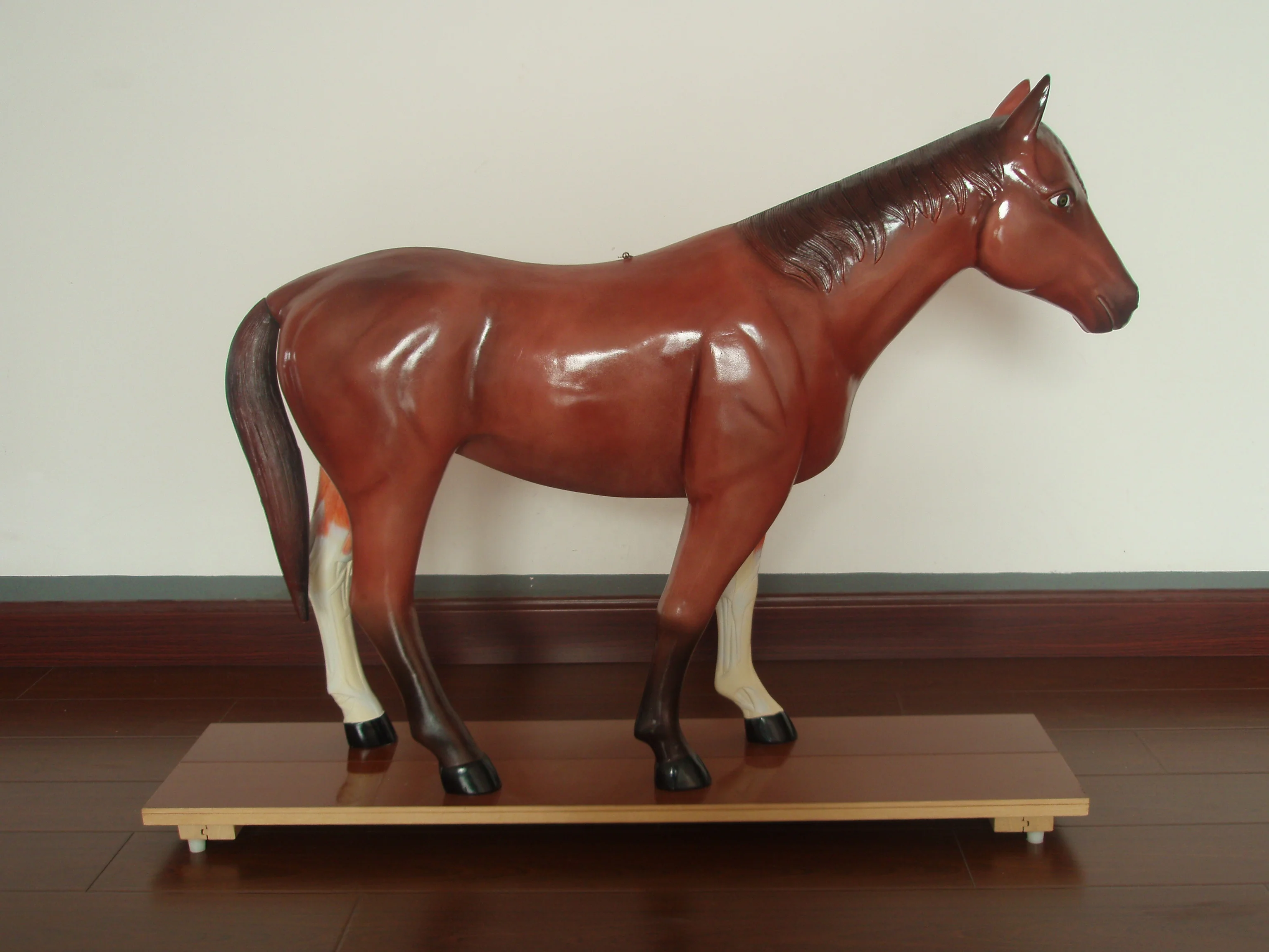horse stomach anatomy model of animals husbandry veterinary anatomical model