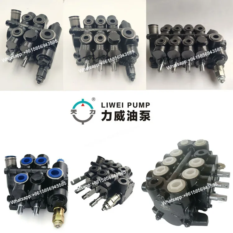 Since 1956 Hefei Liwei Forklift Hydraulic Pump for Hystera CBHZB-F32-AT 66002700