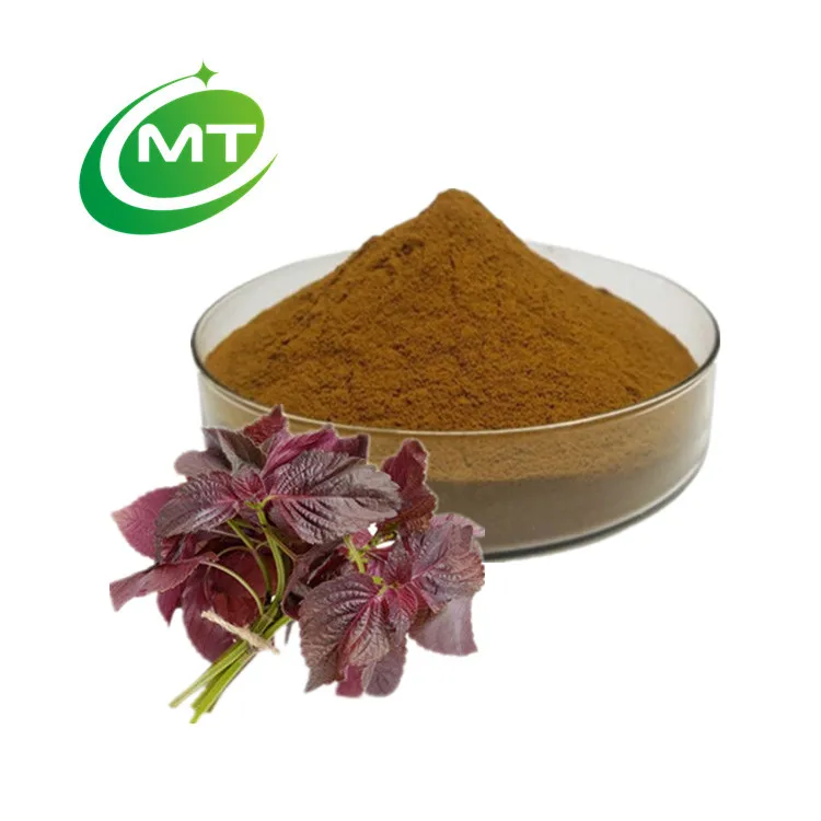Perilla frutescens Extract Free sample Factory Supply Food Grade Organic Perilla/ Shiso Leaf Extract Powder 10:1 Water soluble