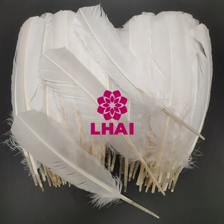 Wholesale 25-30 cm 10-12 Inch Multicolour Turkey Quills Feathers For DIY Craft Decor Costumes Accessories