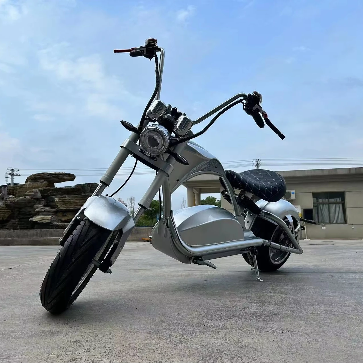 Электрический измельчитель 2000W 3000W 4000W Citycoco для взрослых
