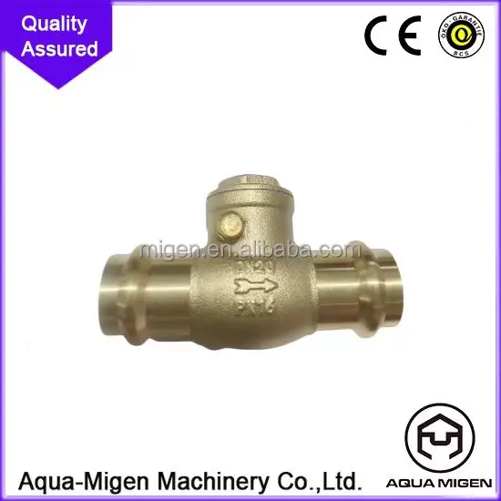 PN16  Connect Thread Of Check Valve Sanitary Pipe Fitting Double Clamp Quick