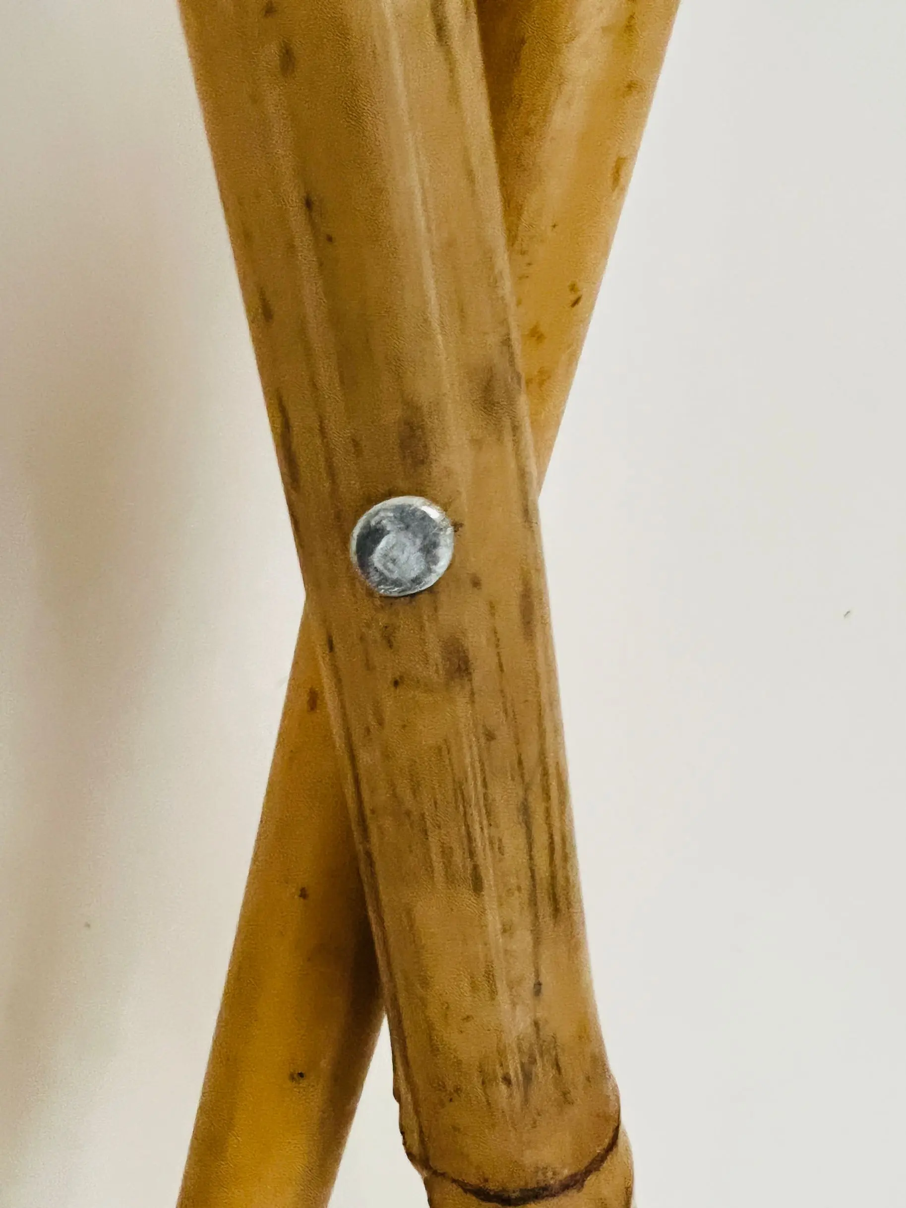 fence rose plant climbing vine bamboo flower bracket garden bamboo pole balcony telescopic bamboo