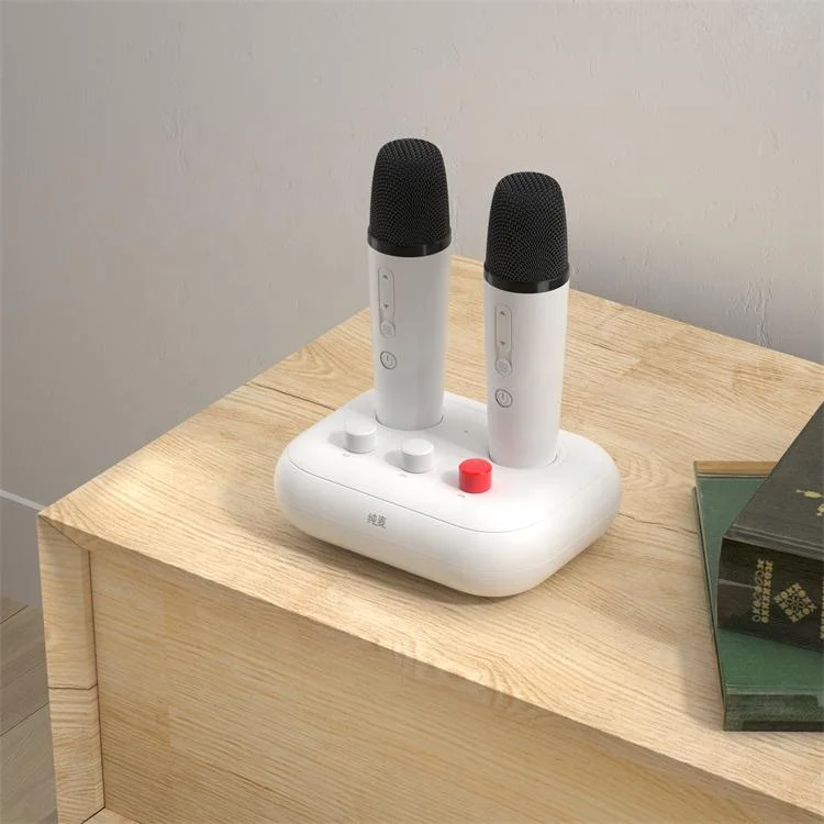Youtube portable karaoke player sound system BT  karaoke set with all TV models karaoke app