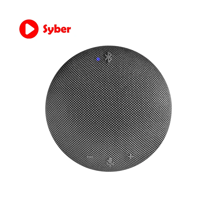 ODM/OEM Wireless Microphone System Wireless Conference Speaker With Mic