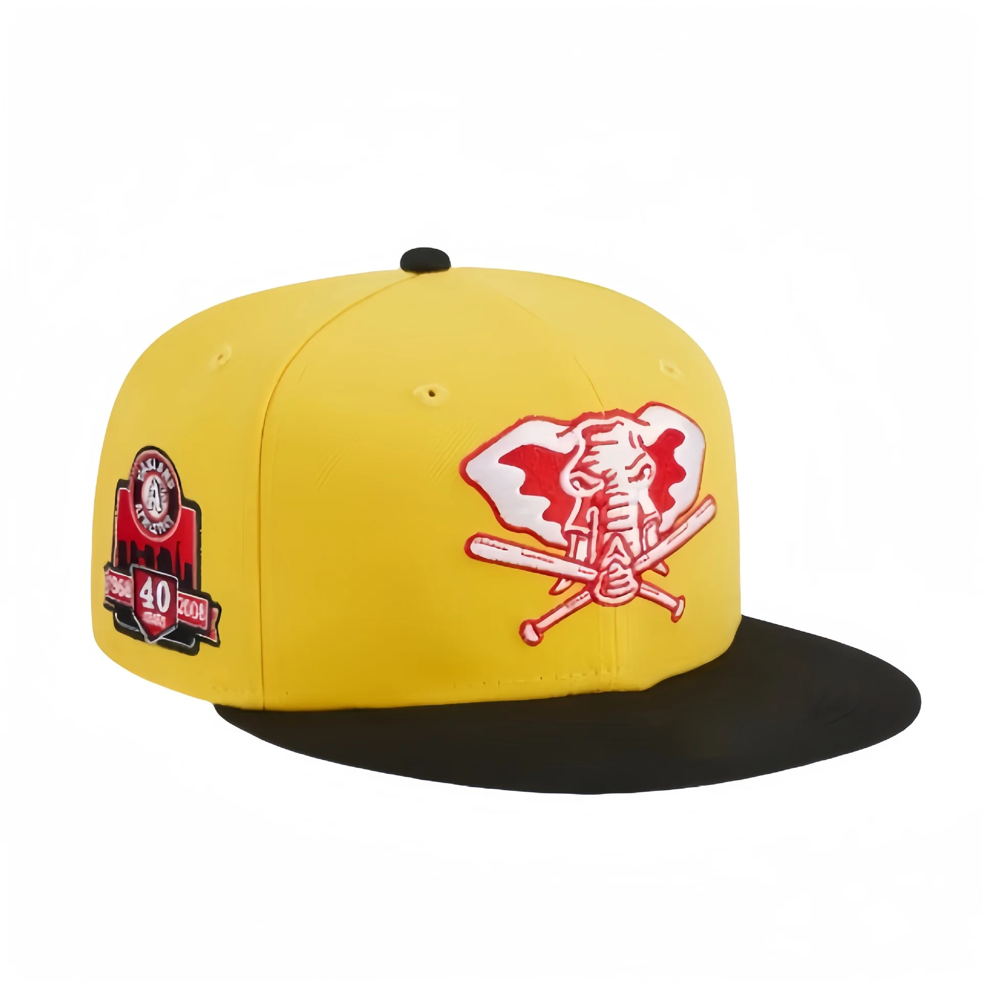 Wholesale Custom Embroidered Logo 6Panel Rugby Flat Hat for Men Women Sport Sun Hat Basketball Cap Snapback Hat