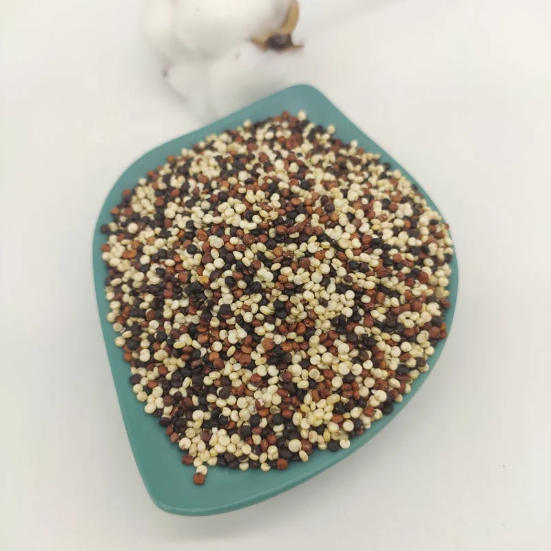 Factory Wholesale tri-color quinoa Seeds Organic Red / Black / White quinoa for sale