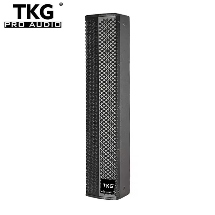 TKG DR5.45 4x4 5 дюймов 300 Вт звуковая колонка акустическая система