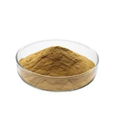 Manufacturer Supply Sage Leaf Extract / Salvia Officinalis Powder/10: 1
