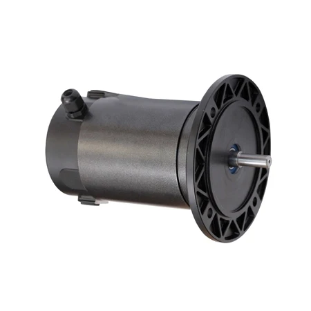 Unique Product Market High Torque 24v 250w dc Electric Motor for Electric Kart
