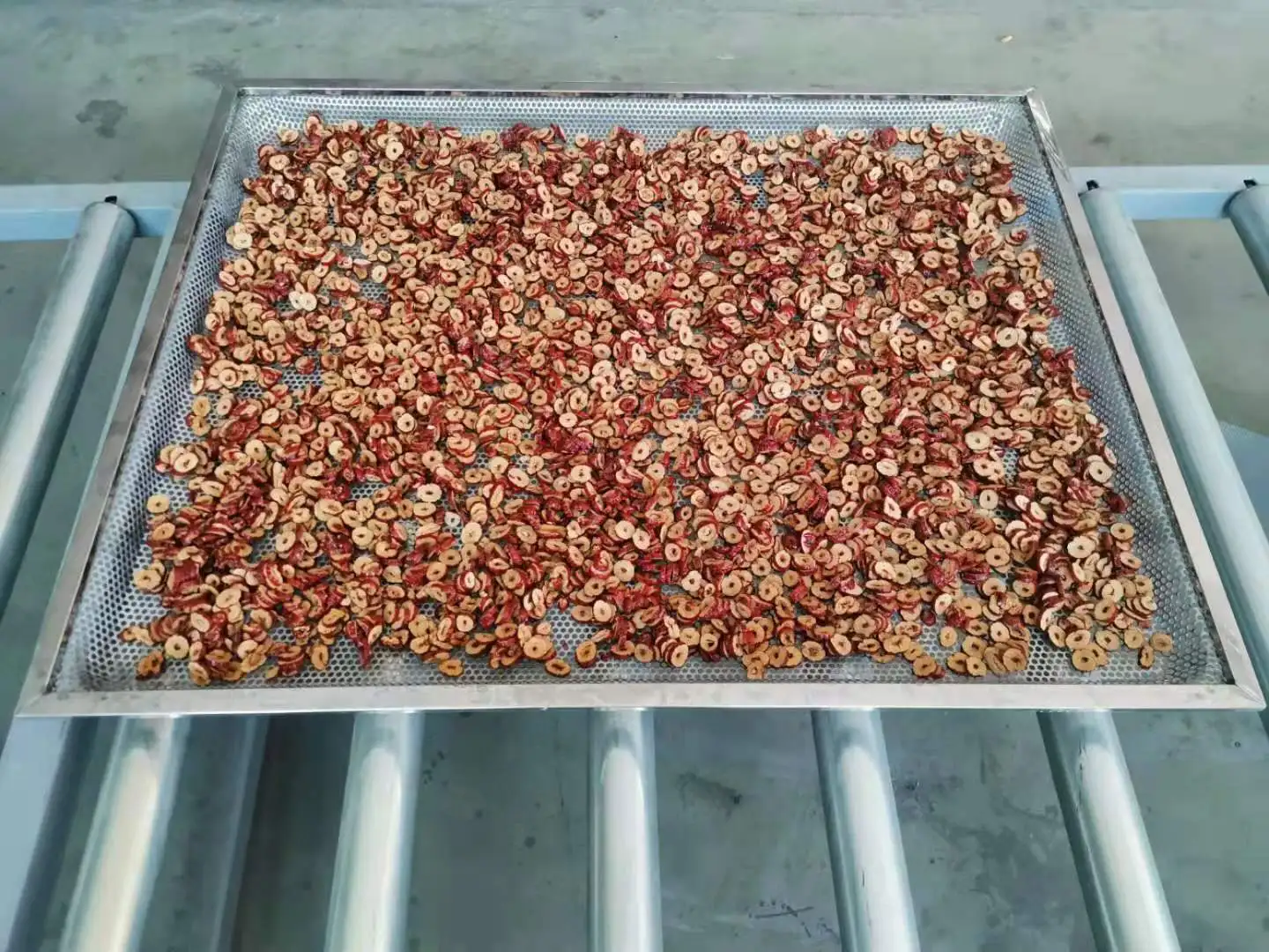 
Zhongxu Machinery calamary sea cucumber dryer stock fish dryer squid drying room 