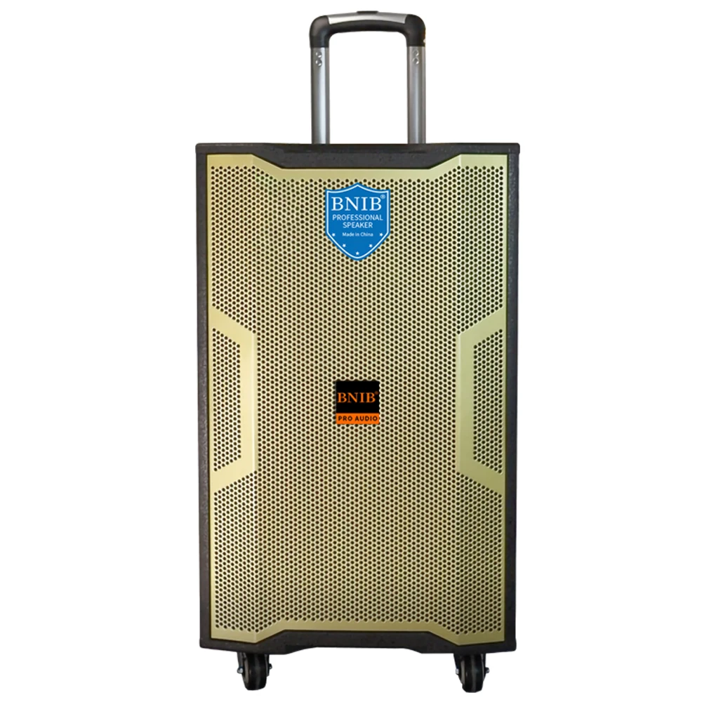 High End China Factory Sound Speakers Outdoor 15 inch Blue-tooth Speaker System OEM Trolley Boombox Battery Speaker With MIC