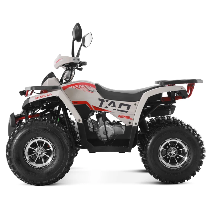 Tao Motor 2024 New Alloy Rim Chain Drive Automatic 1+1 125cc ATV Chinese Cheap Farm ATV 125