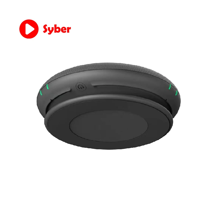 ODM/OEM Wireless Microphone System Wireless Conference Speaker With Mic