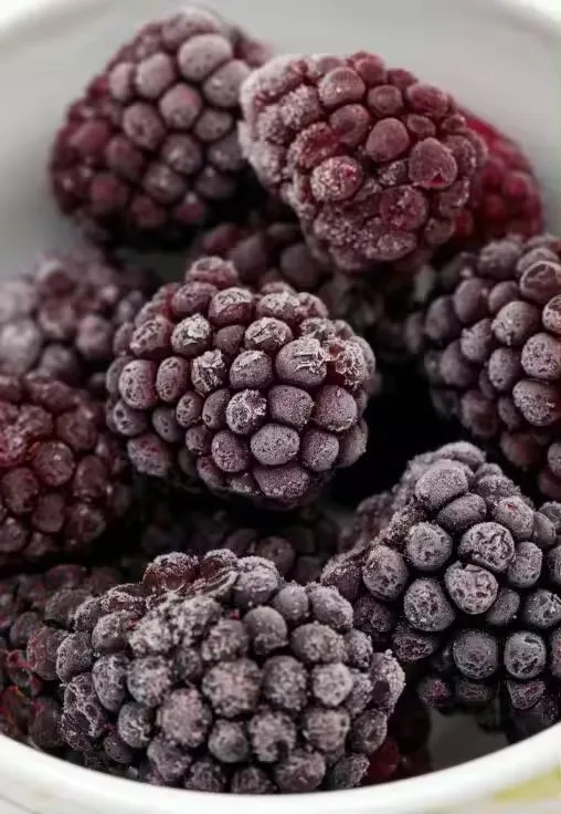 Wholesale Bulk IQF Frozen Blackberry Frozen Fruits For Export