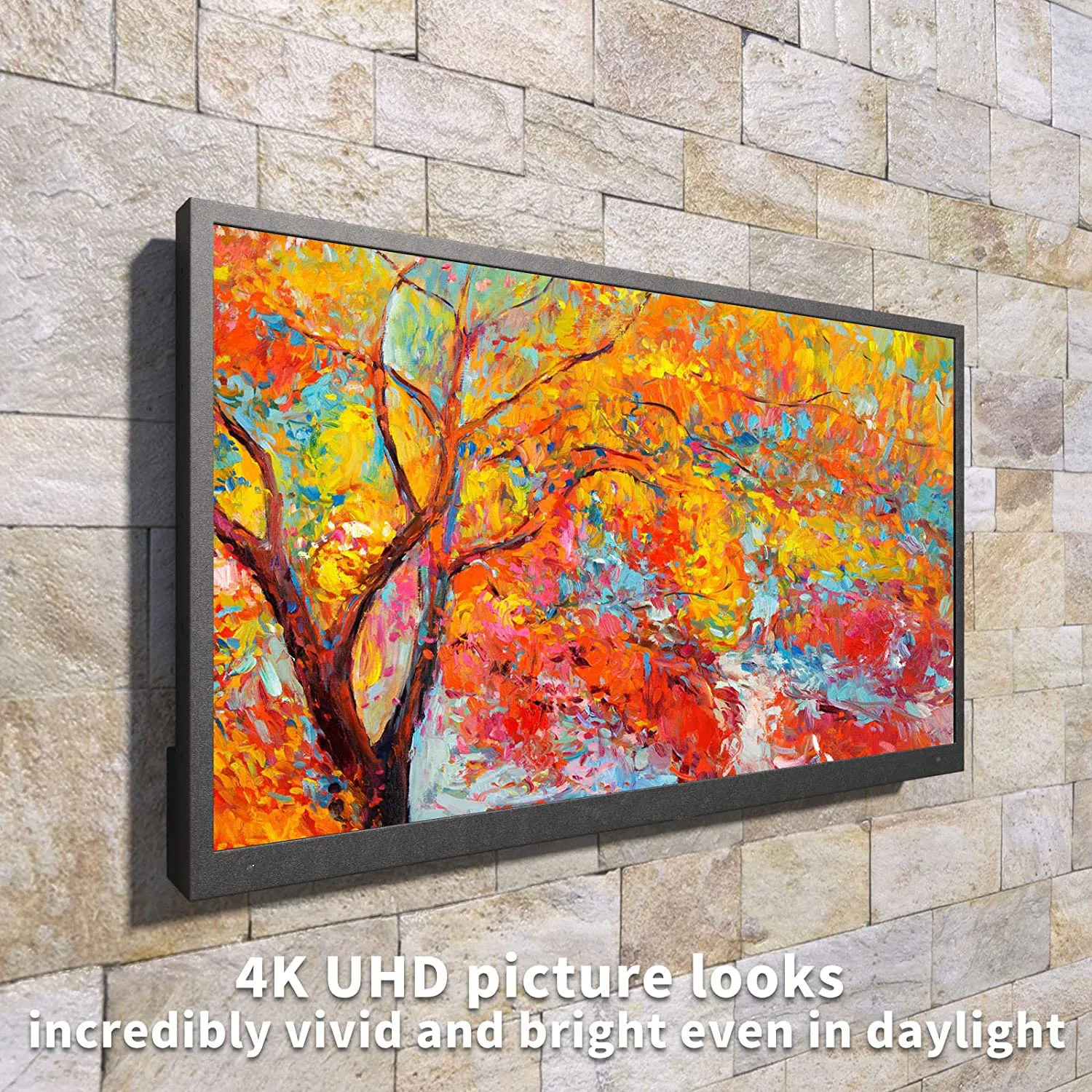 55 inch outdoor TV 8.jpg