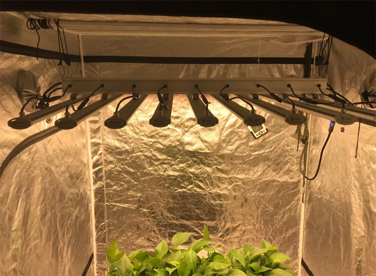 High power 1000W LED grow light 10 bars lm301h led full spectrum lights to replace 1000w hps indoor