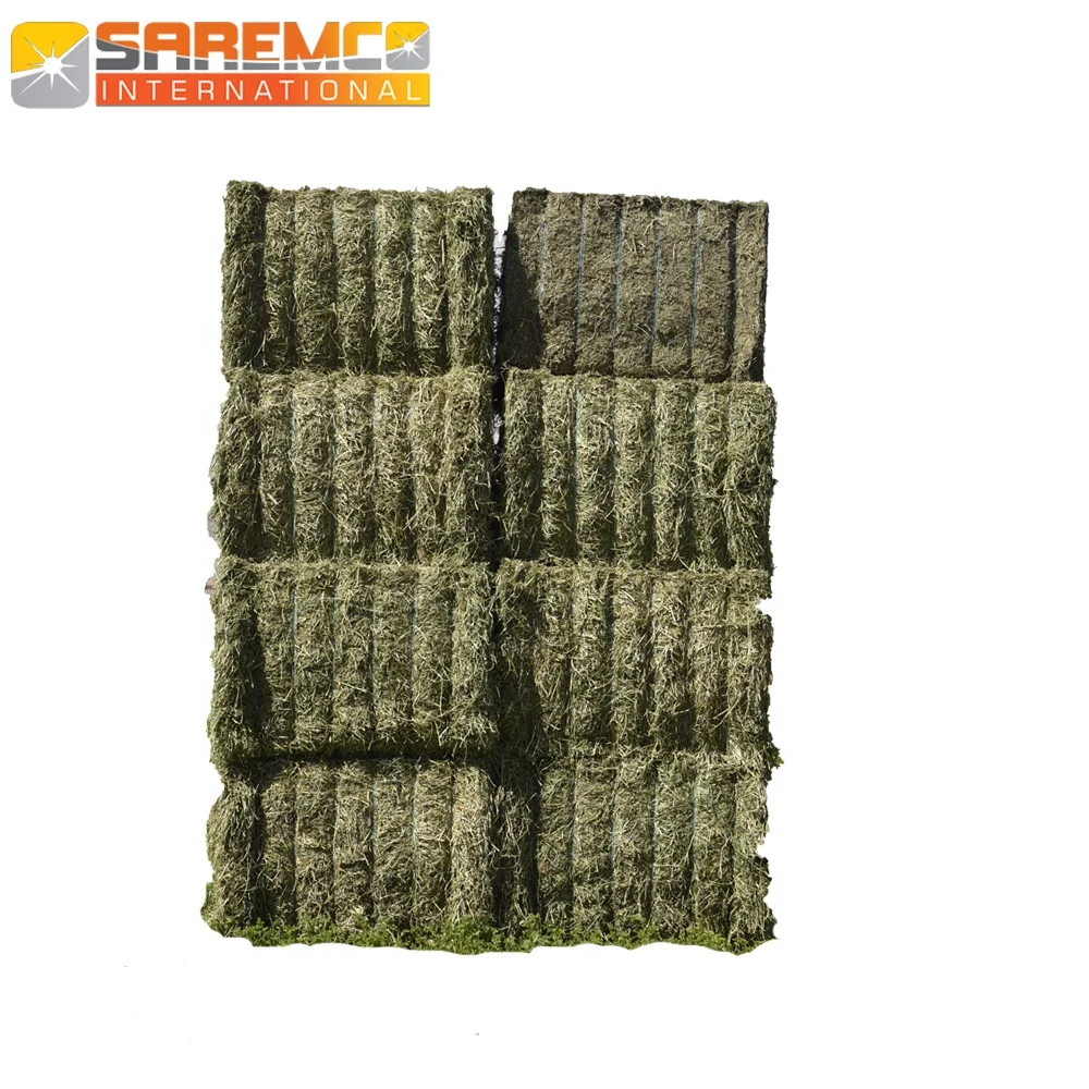 Prime quality rhodes grass hay bales with big and small double compressed bales with high  packing in containers