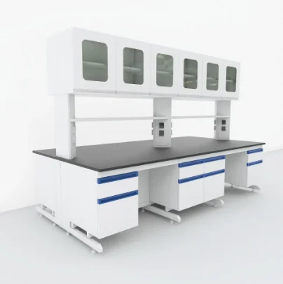 Arredamento Da Laboratorio Hotte De Laboratoire Lab Biologie Scolaire