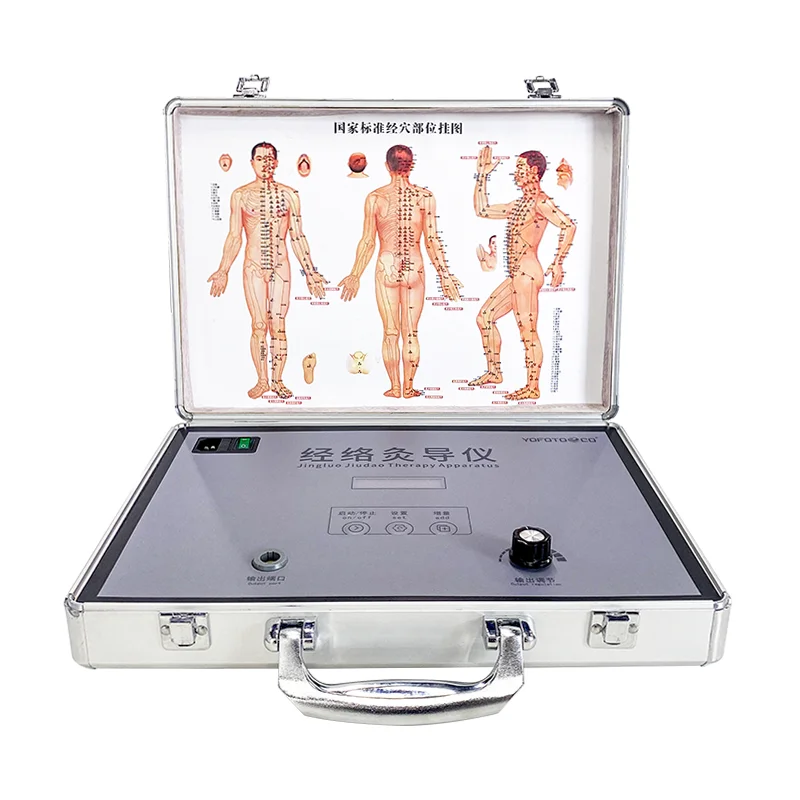 health care supplies magnetic therapy physiotherapy Pulsed Electromagnetic Field Therapy Device
