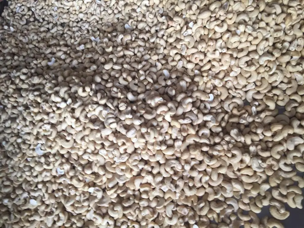 
VIETNAM CASHEW NUT ORGANIC BROKEN PIECES 
