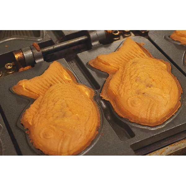 Japanese high quality chocolate kitchen cake with sweet taste