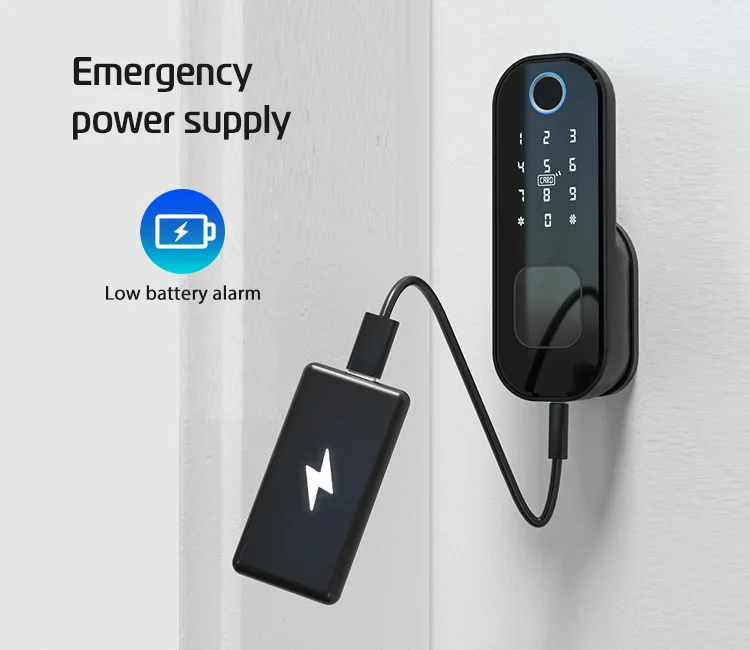 Tuya WiFi Smart Home Electronic Keyless Keypad Door Lock Fingerprint Gate Rim Latch Lock for Home