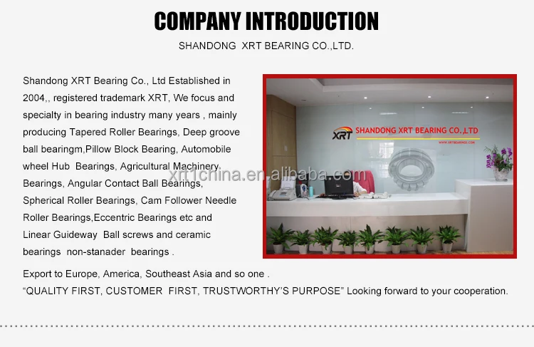Company Introduction.jpg