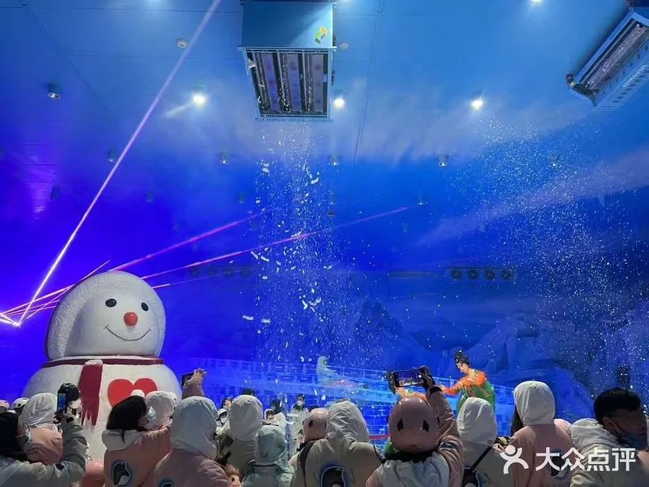 1500KG/24H Gran capacidad preparacion para la Navidad maquina de nieve artificial en parque tematico de nieve