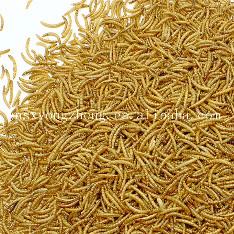 factory price top quality animal feed dried earthworm for fish feed