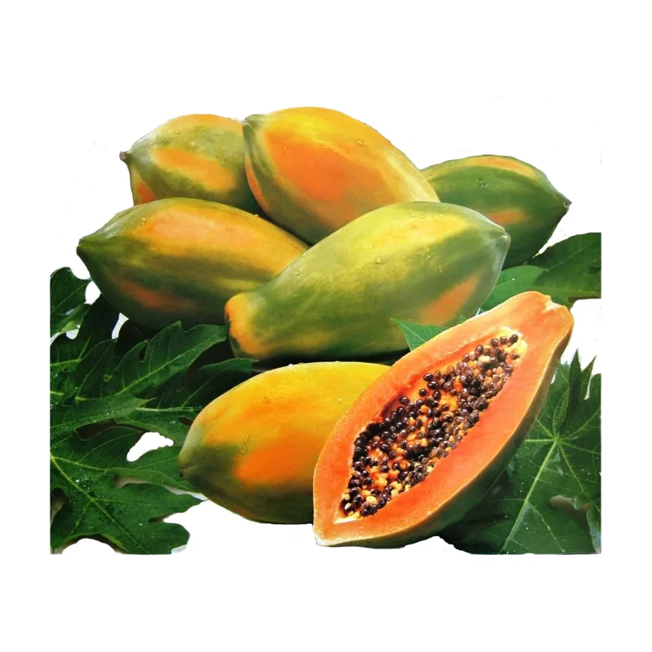 American Exporters Agriculture Wholesale Fruit Quality Paw Sale Online Best Fresh Papaya For Health 2021