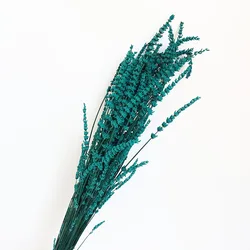 Yunnan Wholesale Dried Lavender Preserved Lavender Flowers for Home and Wedding Flower Decoration