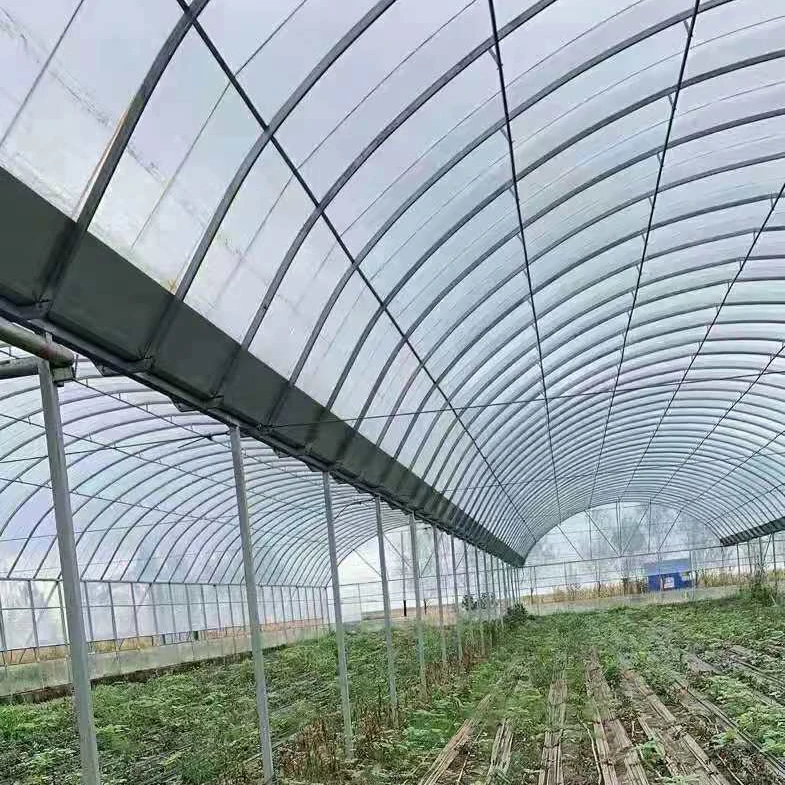 Cheap Tomato Agricultural Plastic Film Cover Low Cost Economic Tunnel Greenhouse for Vegetable