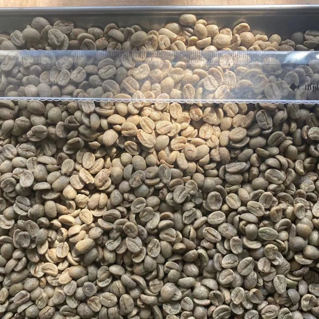 
Premium Arabica Coffee bean 