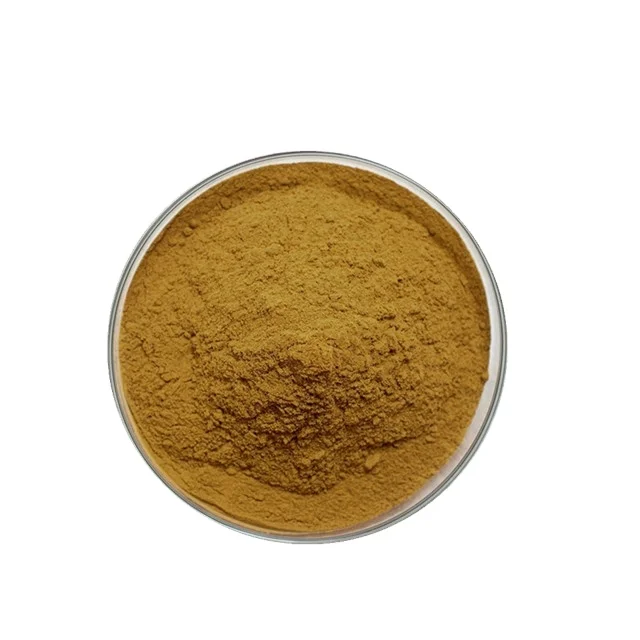 High Quality Banaba Leaf Extract Powder Banaba Leaf Extract