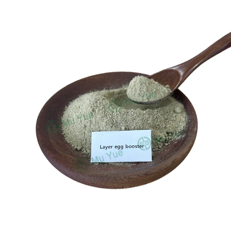 Animal Feed Additives for Increased Egg Production Enhanced Laying Hens Output for Chicken Egg Production