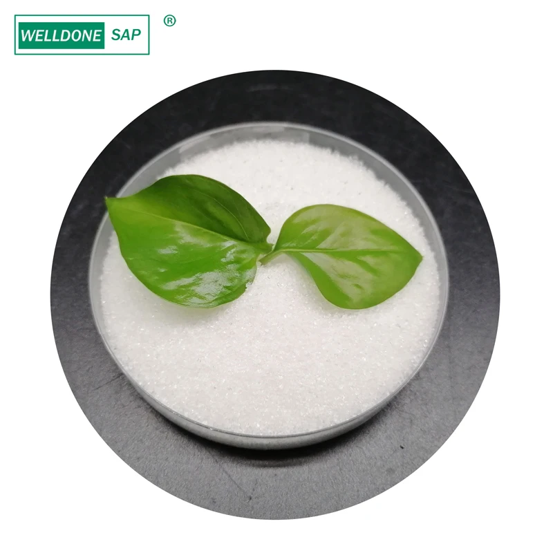WELLDONE De Potassium Polyacrylate Prix Hydrogel Save Irrigation Manufacturing Potassium Polyacrylate Powder in Bags