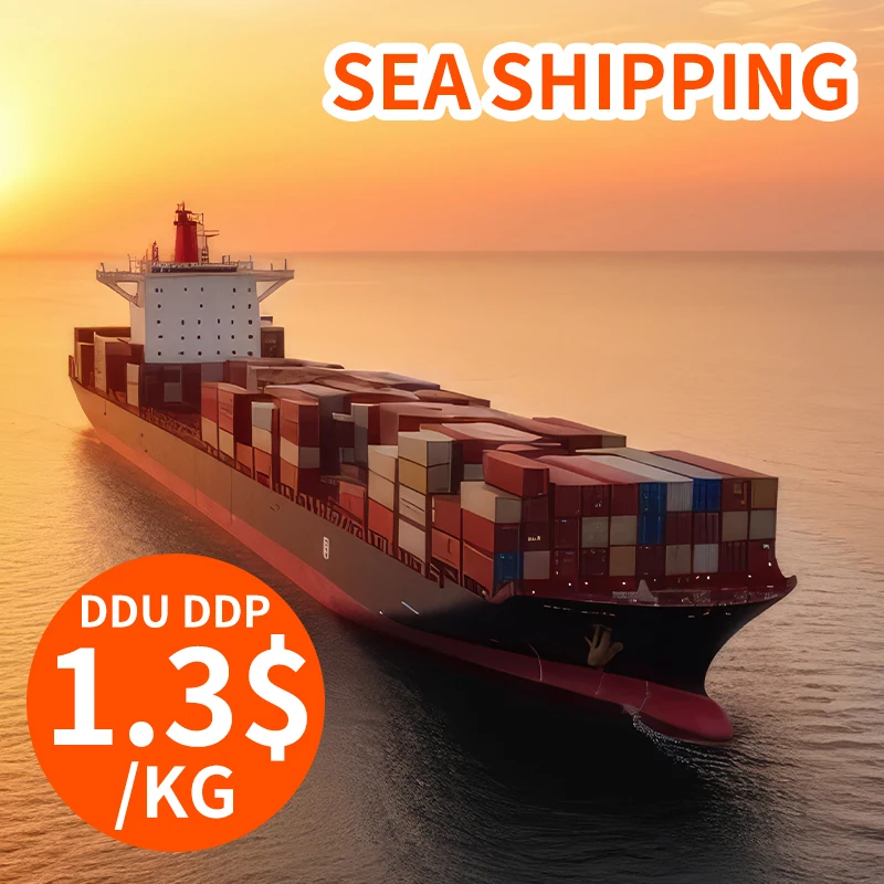 Professional DDP Shipping Agent Service Sea Freight China to USA Seattle Freight Forwarder