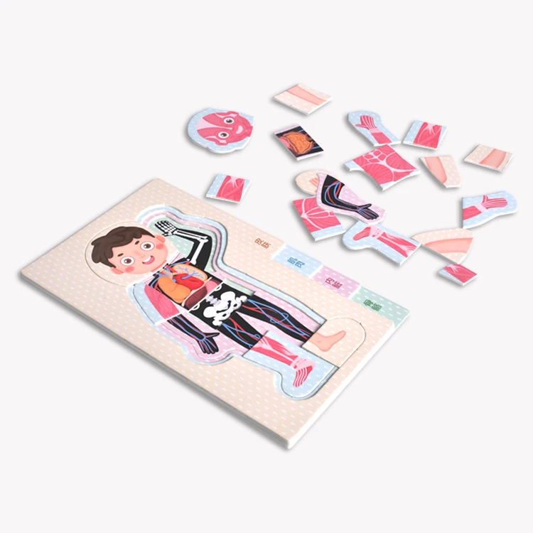 DIY Science Experiment human body Kit for Kids STEM Diy Assembled Toys for 3+ Children