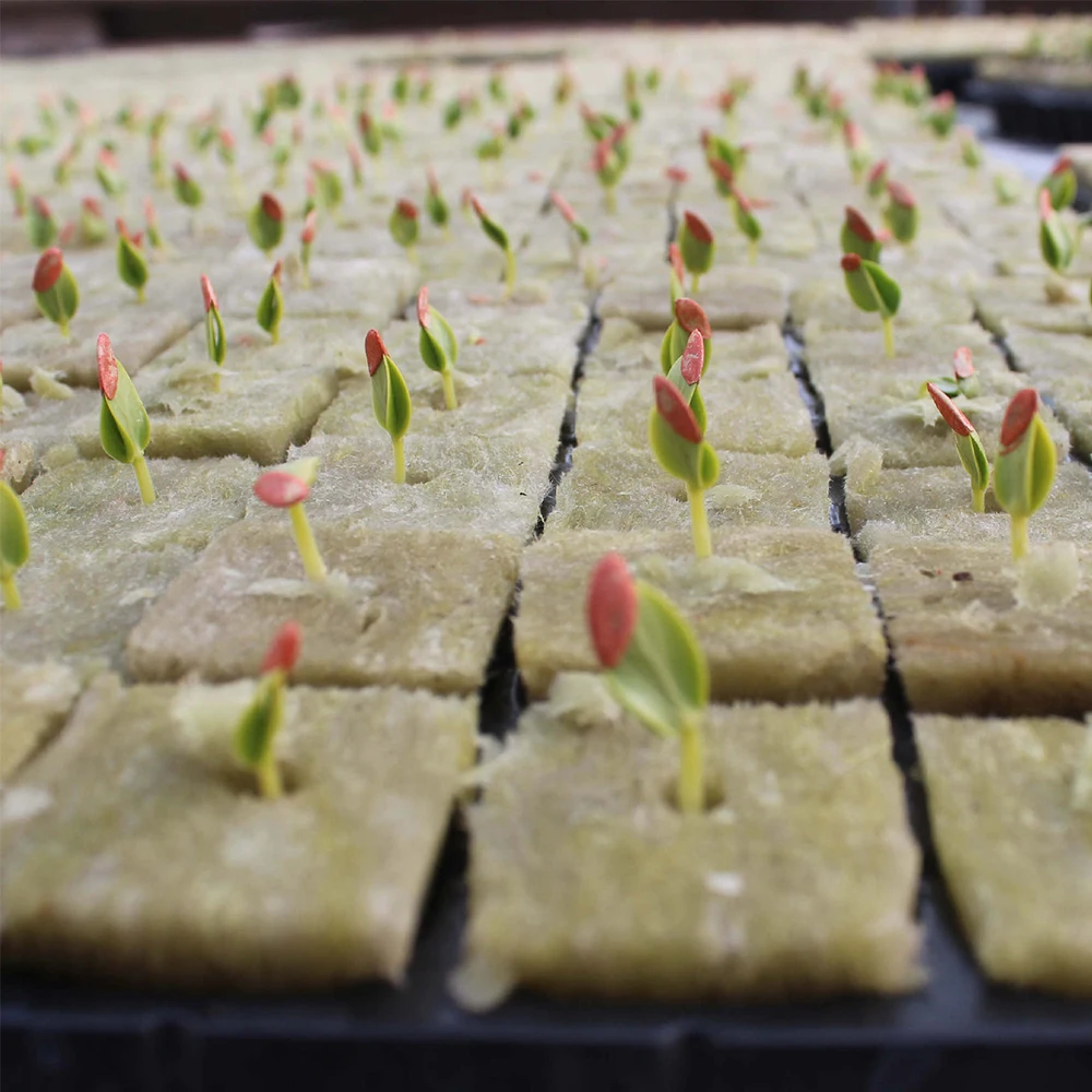 2 Inch Seedling Tray Indoor Plants Hydroponic Cultivation Substrate Rock Wool Cube
