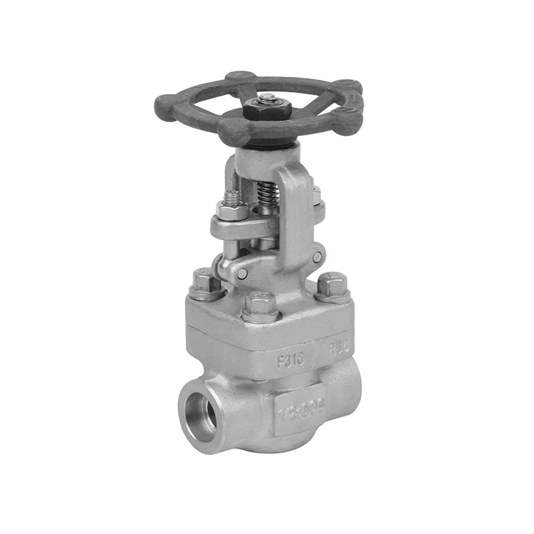 Кованая стальная розетка, сварной затвор, резьбовой затвор, клапан из нержавеющей стали, затвор F304316L