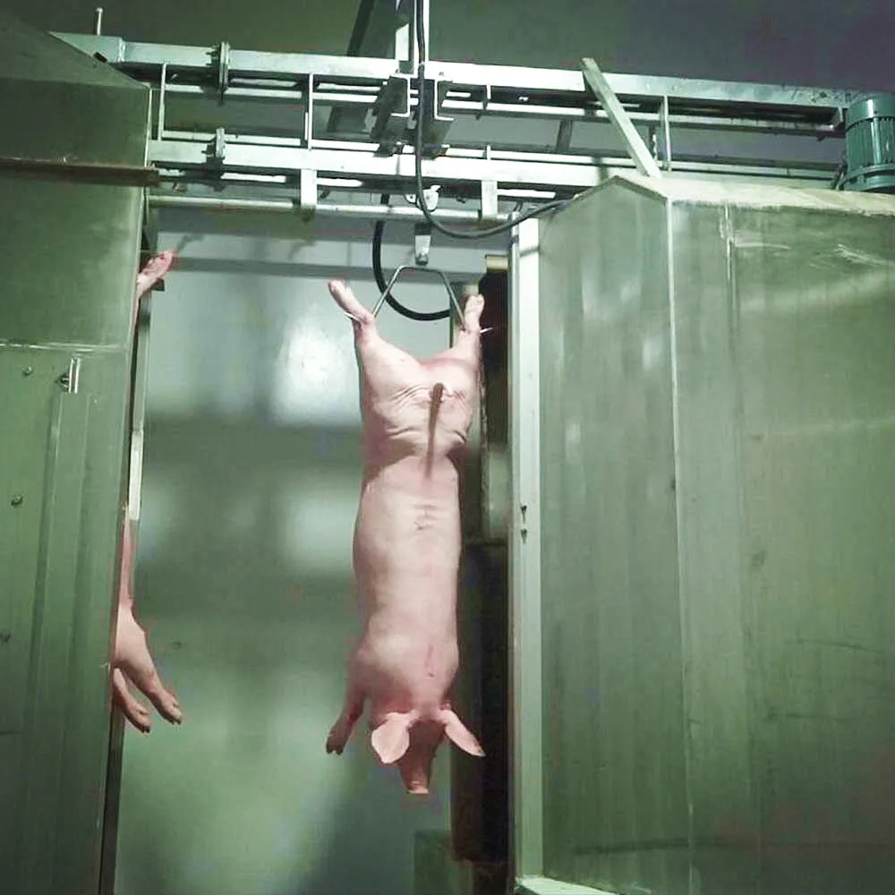 New Pig Slaughter Line for Swine Slaughterhouse Equipment with Hog Soar Band Saw