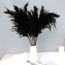 Wholesale Decorative Vase Pampas Grass Flower Arrangement Xiaochai Reed Dried Flowers