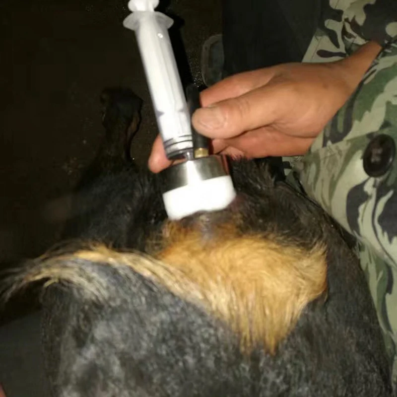 Dog Veterinary Equipment Manufacturing Artificial Insemination Digital Ai Gun for Dogs