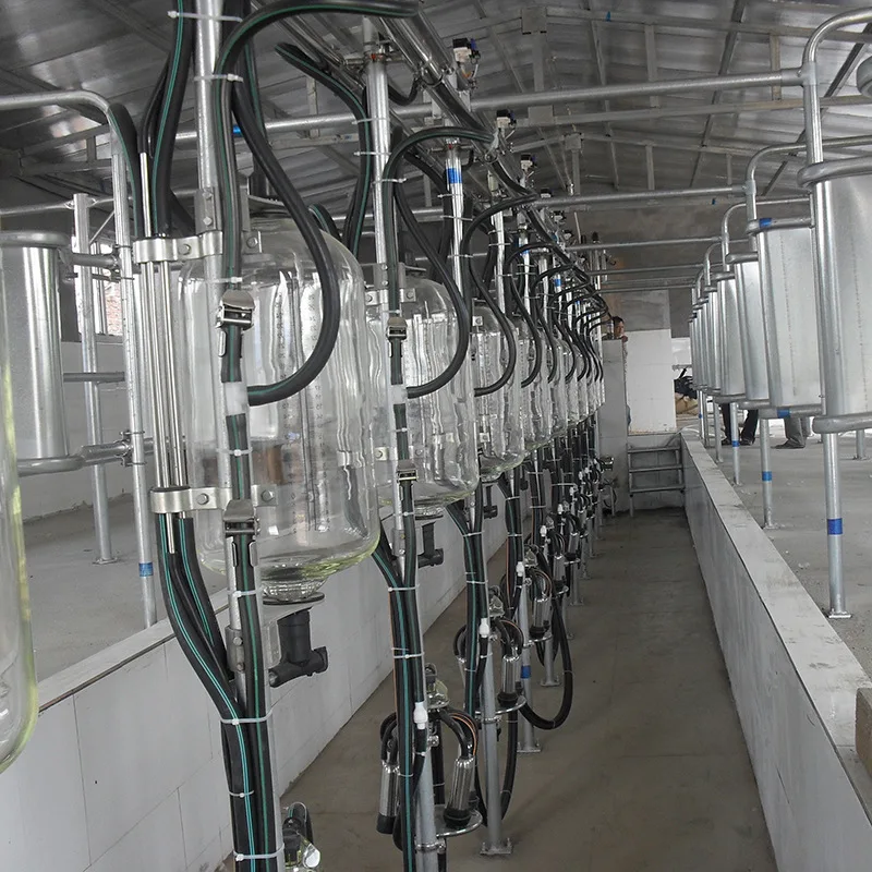 dairy farm cow goat milking parlor glass milk flow meter