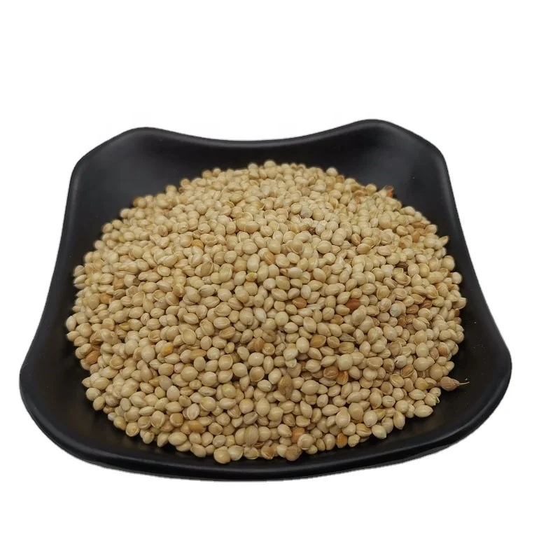 Glutinous  white broomcorn millet / white proso millet / yellow millet grain